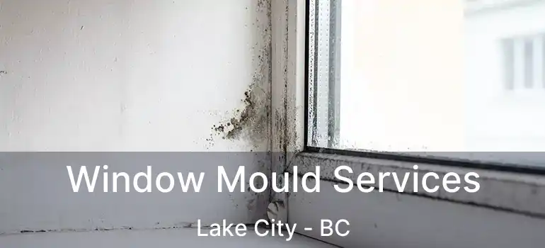  Window Mould Services Lake City - BC