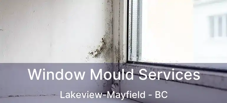  Window Mould Services Lakeview-Mayfield - BC