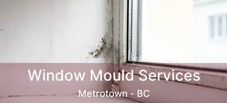  Window Mould Services Metrotown - BC