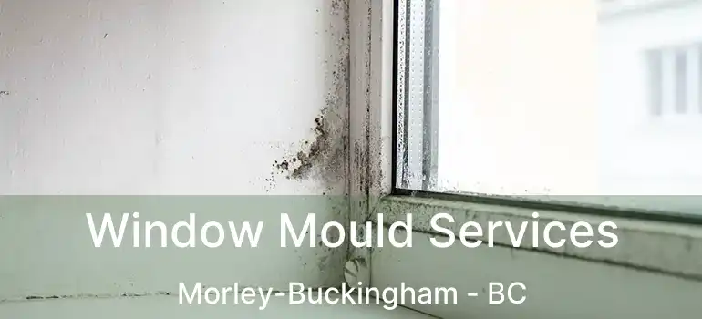  Window Mould Services Morley-Buckingham - BC