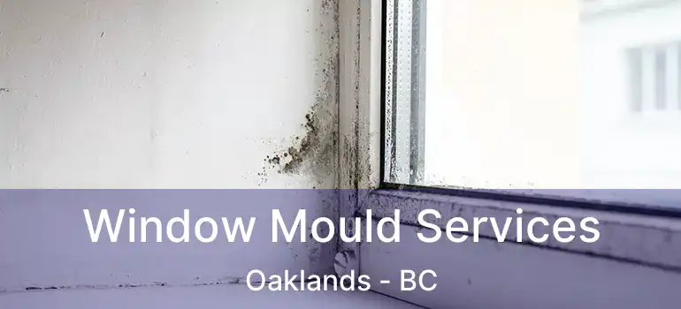  Window Mould Services Oaklands - BC