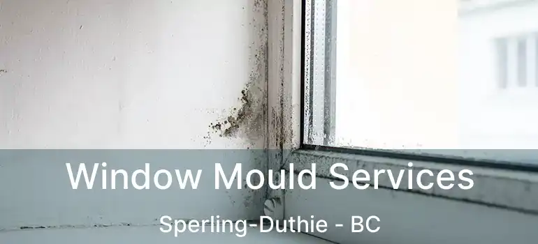  Window Mould Services Sperling-Duthie - BC