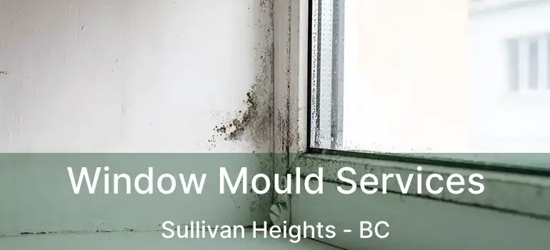  Window Mould Services Sullivan Heights - BC