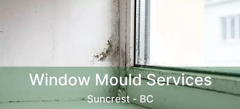  Window Mould Services Suncrest - BC