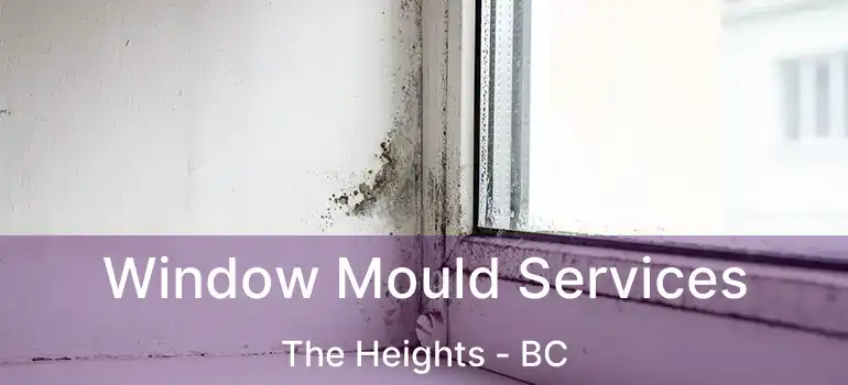  Window Mould Services The Heights - BC