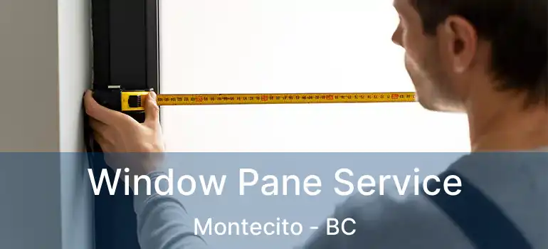  Window Pane Service Montecito - BC