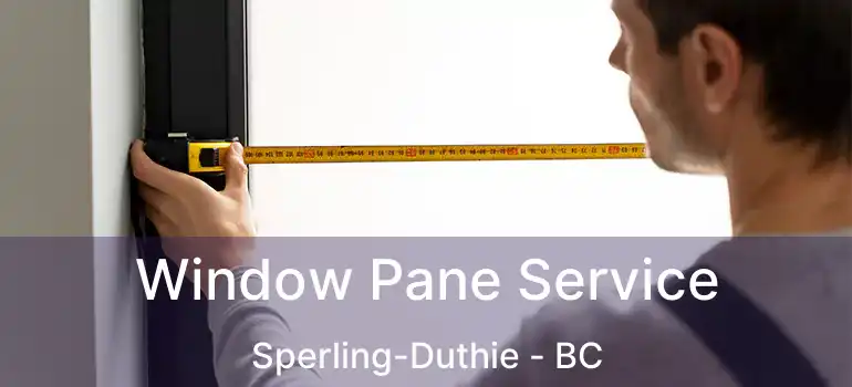  Window Pane Service Sperling-Duthie - BC