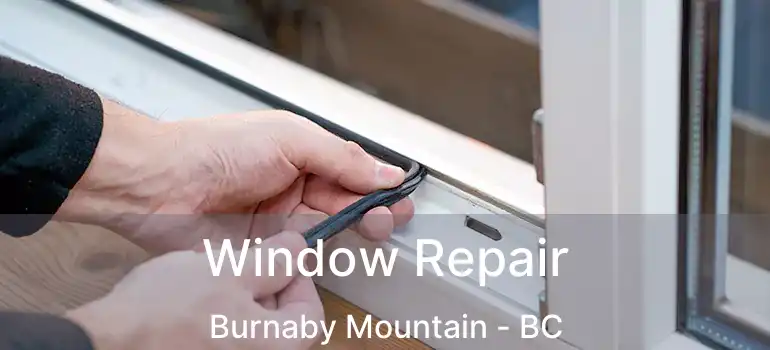 Window Repair Burnaby Mountain - BC