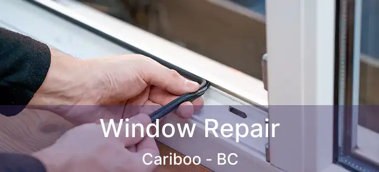  Window Repair Cariboo - BC