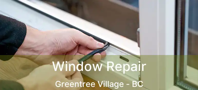  Window Repair Greentree Village - BC