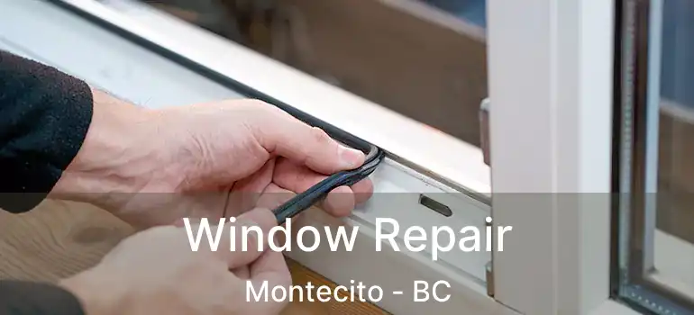  Window Repair Montecito - BC