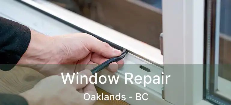  Window Repair Oaklands - BC