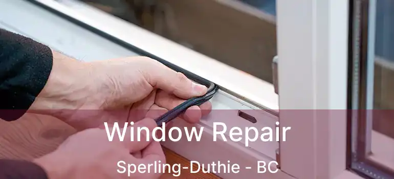  Window Repair Sperling-Duthie - BC