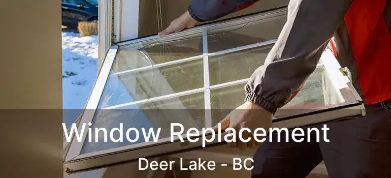  Window Replacement Deer Lake - BC