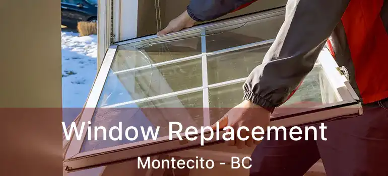  Window Replacement Montecito - BC