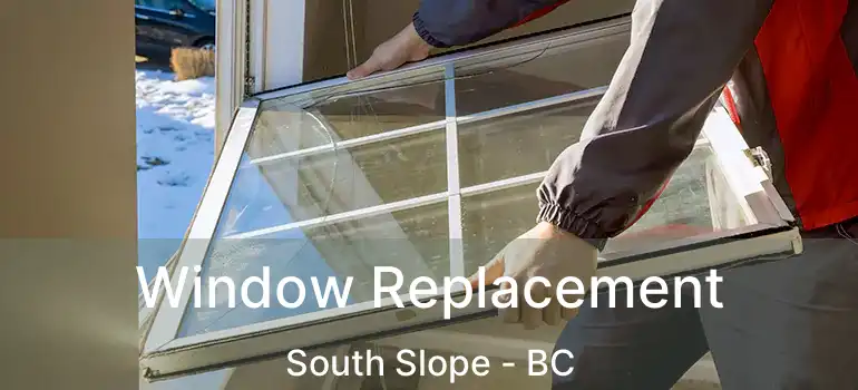  Window Replacement South Slope - BC