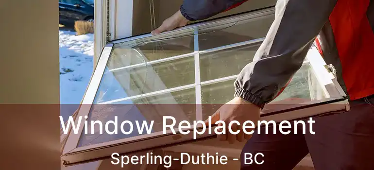  Window Replacement Sperling-Duthie - BC