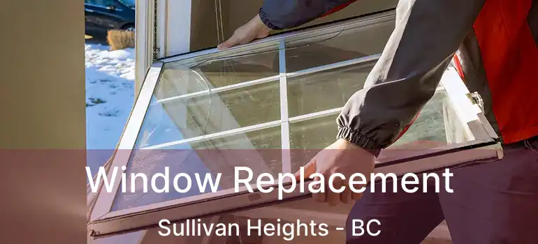 Window Replacement Sullivan Heights - BC