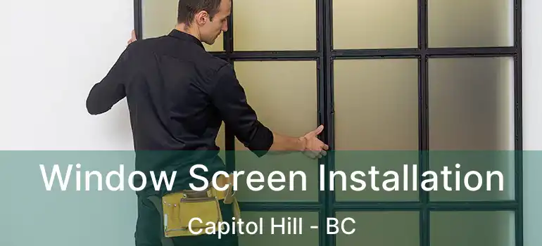  Window Screen Installation Capitol Hill - BC