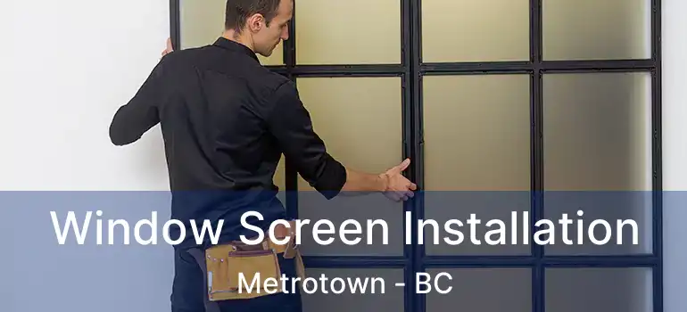  Window Screen Installation Metrotown - BC