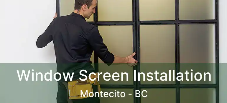  Window Screen Installation Montecito - BC