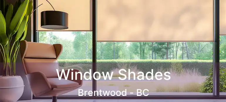  Window Shades Brentwood - BC