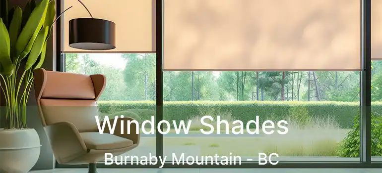  Window Shades Burnaby Mountain - BC