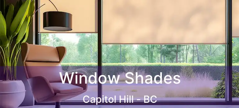  Window Shades Capitol Hill - BC