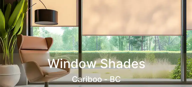  Window Shades Cariboo - BC