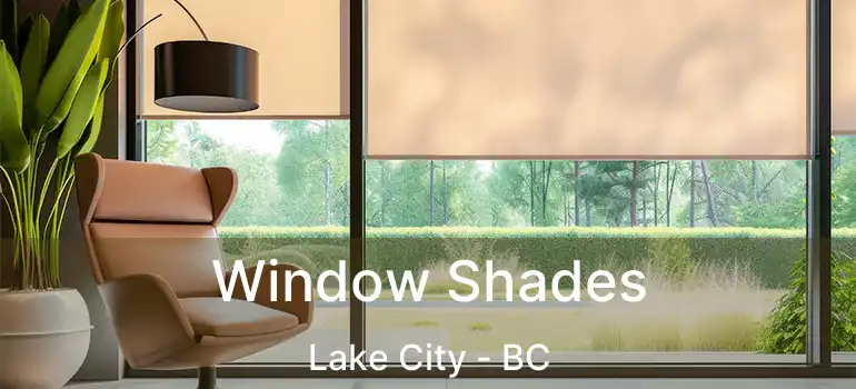  Window Shades Lake City - BC
