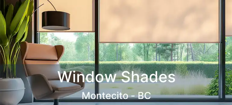  Window Shades Montecito - BC