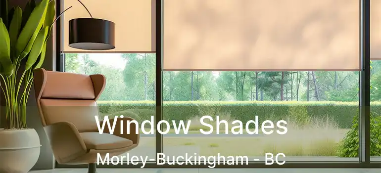  Window Shades Morley-Buckingham - BC