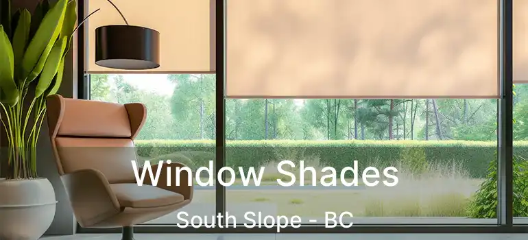  Window Shades South Slope - BC