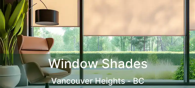  Window Shades Vancouver Heights - BC
