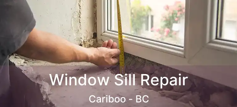  Window Sill Repair Cariboo - BC
