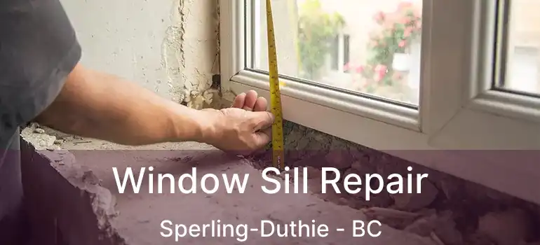  Window Sill Repair Sperling-Duthie - BC