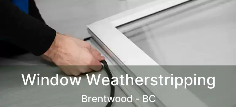  Window Weatherstripping Brentwood - BC