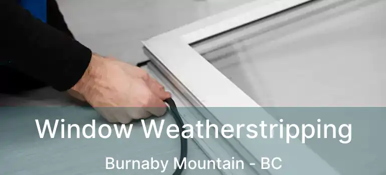  Window Weatherstripping Burnaby Mountain - BC