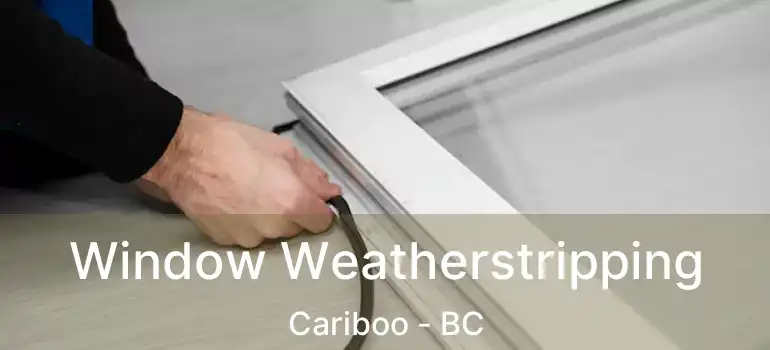 Window Weatherstripping Cariboo - BC