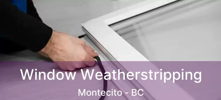  Window Weatherstripping Montecito - BC
