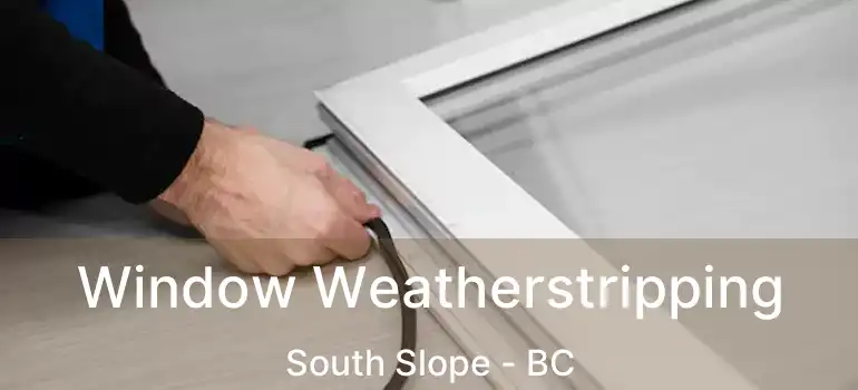  Window Weatherstripping South Slope - BC