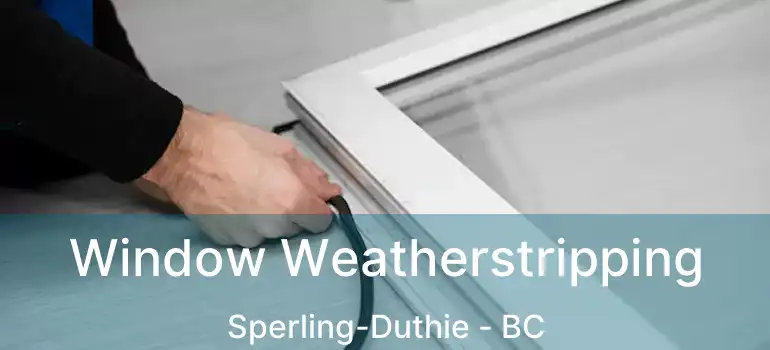  Window Weatherstripping Sperling-Duthie - BC