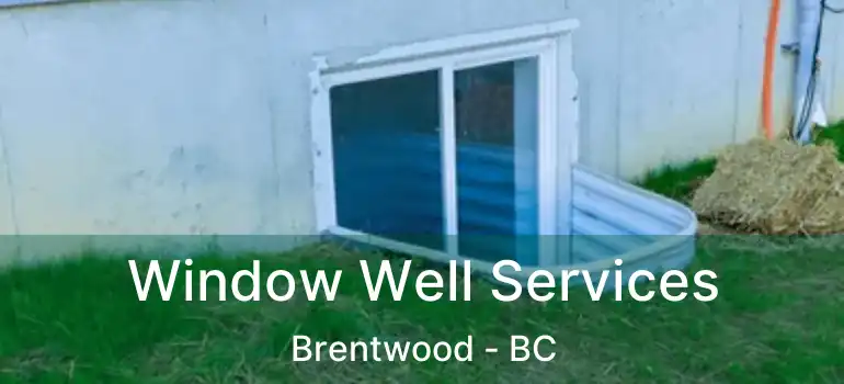  Window Well Services Brentwood - BC