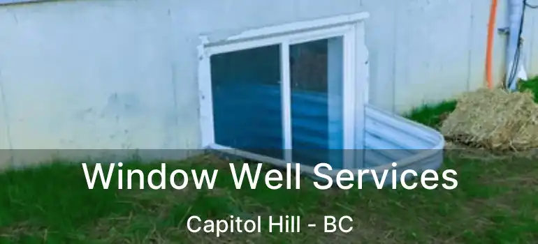  Window Well Services Capitol Hill - BC