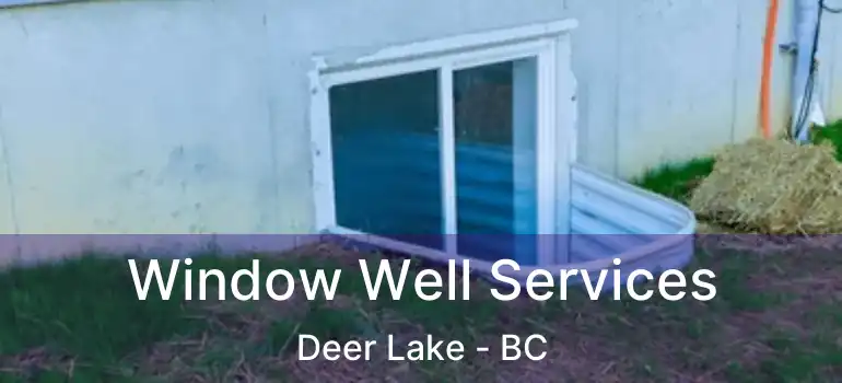  Window Well Services Deer Lake - BC