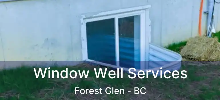  Window Well Services Forest Glen - BC