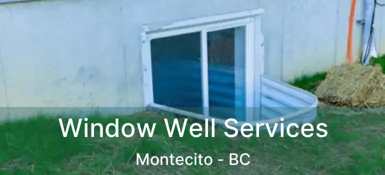  Window Well Services Montecito - BC