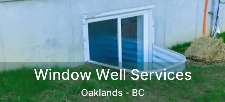  Window Well Services Oaklands - BC
