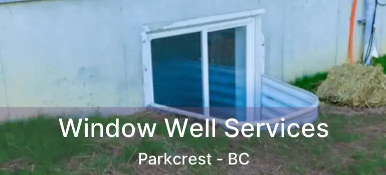  Window Well Services Parkcrest - BC