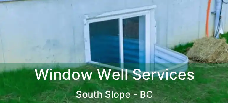  Window Well Services South Slope - BC